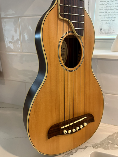 Washburn Rover Reise-Akustikgitarre RO10 hochwertig mit gepolstertem Protec Gigbag - Bild 4 von 24