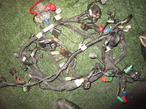 KTM Duke 390 RC390 2016 ARNÉS DE CABLEADO ARNÉS PRINCIPAL SOLO PIEZAS - Imagen 4 de 5