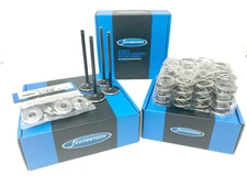 Supertech Dish Valves Dual Springs Kit Retainers For Honda H22A H22A1 H22A4 80LB