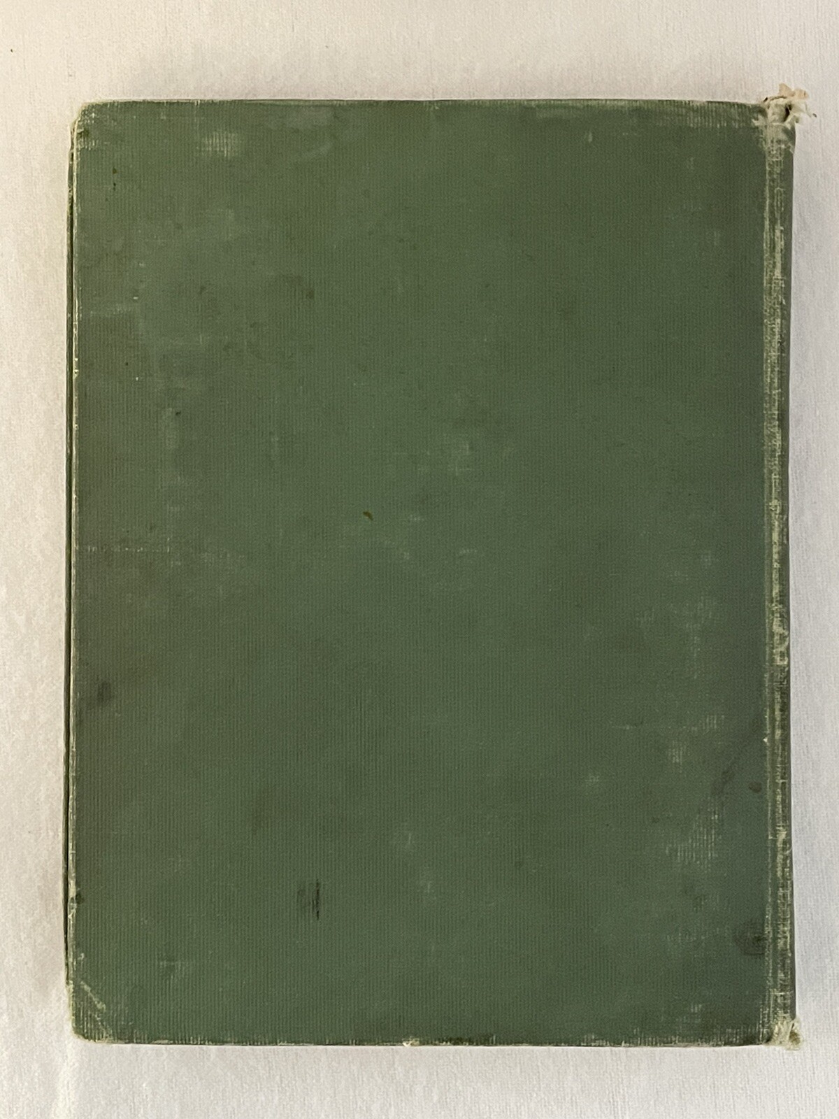 Picture 3 of 12