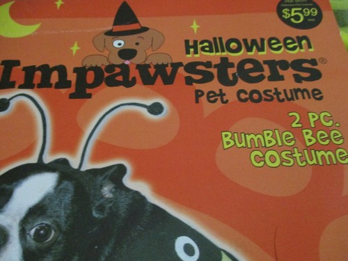 HALLOWEEN IMPAWSTERS~2 Piece BUMBLEBEE DOG COSTUME~Size Medium~NIP - Picture 3 of 5