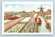 Artist View Tulip Field and Windmill UNP Unused WB Postcard L2