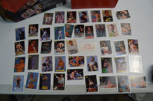 Vintage 1990 WWF Classic Wresting Card Collectors Kit - Picture 20 of 24