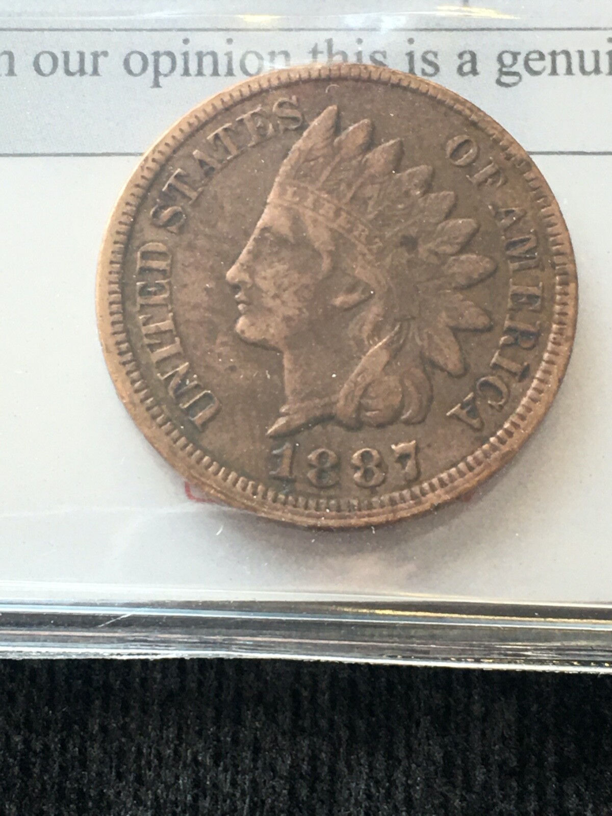 Picture 3 of 9