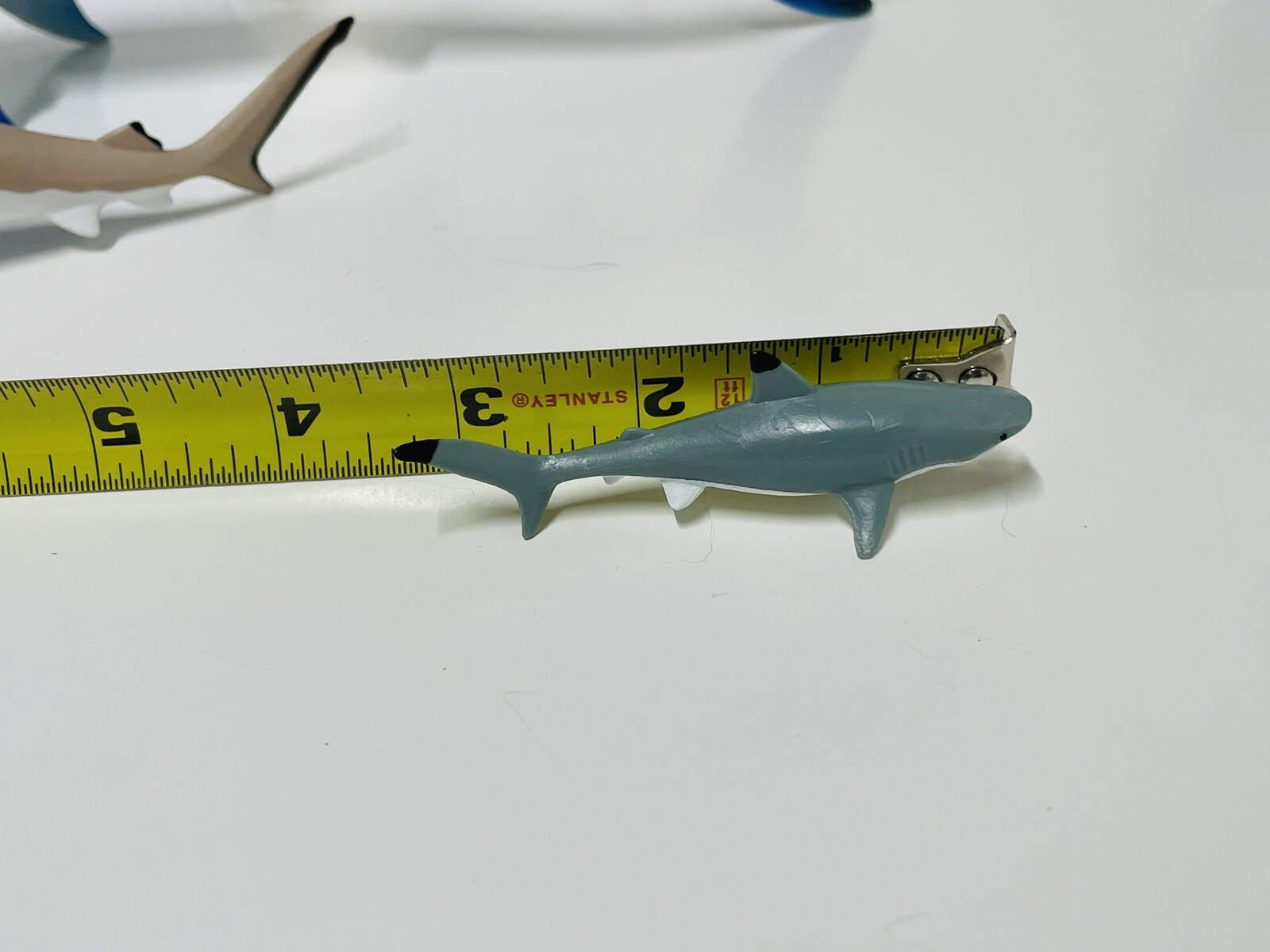 Picture 10 of 10