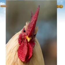 Flags Galore Rooster House Flag w