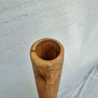 Picture 4 of 12