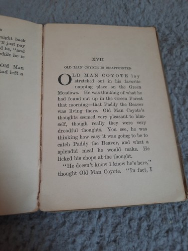The Adventures of Paddy the Beaver. Thornton W Burgess. 1926 (Poor Condition) - Bild 4 von 15