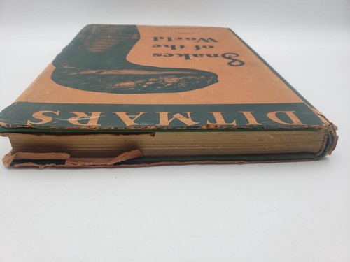 Snakes of the World Hardcover Book Raymond Lee Ditmars Vintage - Foto 4 di 13