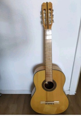Renata Gitarre 41-104