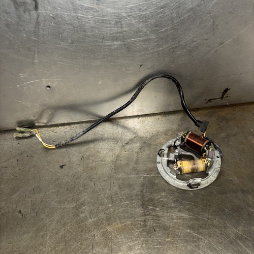 1997 KAWASAKI 89-06 KDX200 97-05 KDX220R OEM STATOR GENERATOR MAGNETO 21003-1279