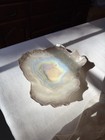 Vintage Hand blown Oyster Shell Dish Opalescent Art Glass