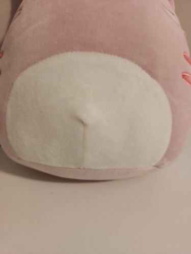 Paulita Squishmallow 2021 nuevo con etiquetas nuevo peluche pascua primavera gato rosa. (D4) - Imagen 11 de 11