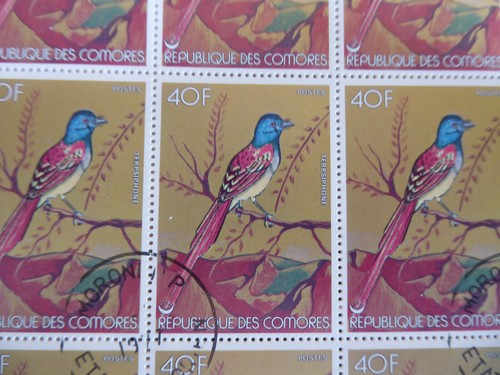 Komoren 1978, 1000 Serien "Vögel", gest./CTO, Mi.Nr.377/822, ME 4800,- - Bild 4 von 7