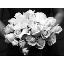 Photography Composition White Roses Flowers Petals Greyscale 12X16 Framed Print