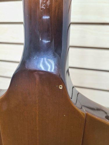 1976 Gibson Firebird V Bicentennial Limited Edition Vintage Guitar *READ!* - Picture 14 of 19