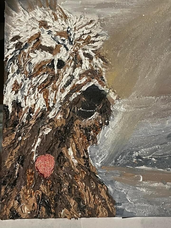 Picture 1 of 13
