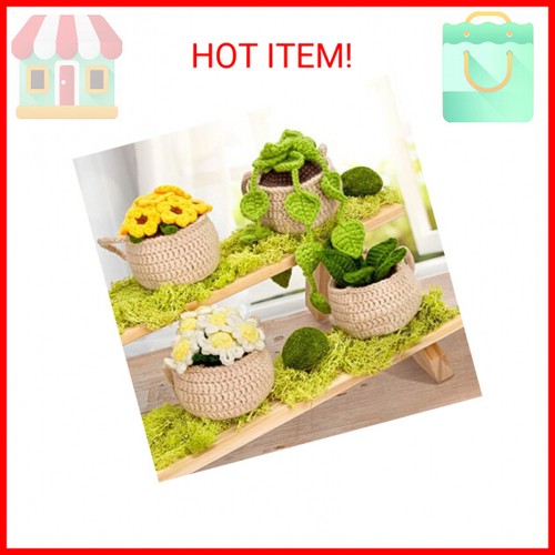 Beginner Crochet Kit for Hanging Potted Plants - Easy Tutorials - 4 PCS - Picture 2 of 2