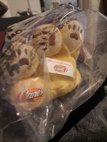 Raising Cane's 25th Birthday Anniversary Limited Edition Plush Puppy NWT 2022 - Picture 10 of 12