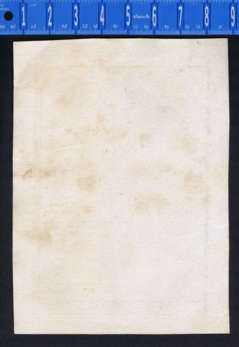 Cetonia Käfer, PL. 160 - 1797, Panckoucke Kupferstich - Bild 2 von 2