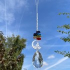 Bild 4 von 12