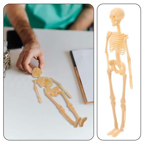 Modellino scheletro modello corpo umano scheletro anatomico action figure ausili didattici - Foto 10 di 12