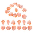  30 Pcs Miniaturen Von Muschelschalen Fischtank Landschaftsdekoration