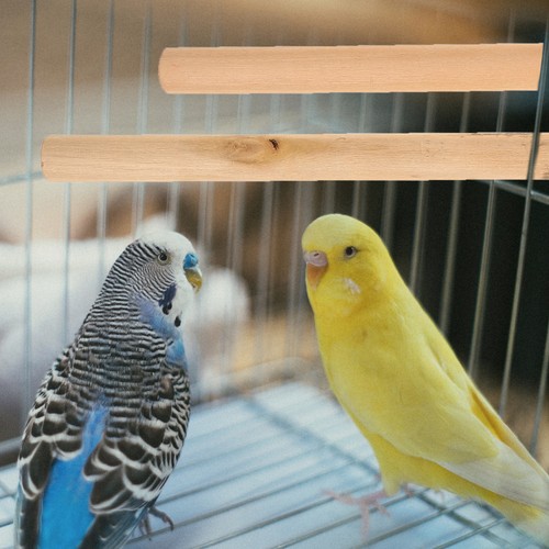 6 Pcs Solid Wood Station Pole Parakeet Perch Bird Perches for Cage