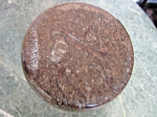 HAND CARVED BOX FROM FOSSIL STONE WITH FOSSIL SNAIL AMMONITE AND TRILOBITE - Bild 7 von 7