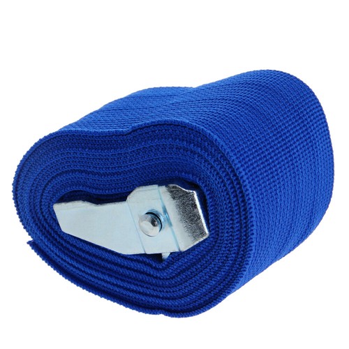 1 Stück Blau Zurrgurt Zurrgurt Cargo Lash Strap Cam Buckle LKW Camping Van - Bild 4 von 20
