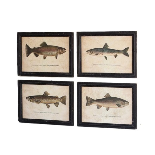 Classic Trout Fish Prints Set Four 20 x 15 Vintage Style Black Frame - Bild 1 von 2