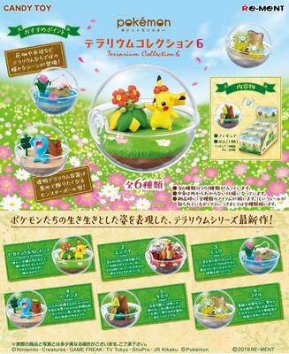 pokemon terrarium rement