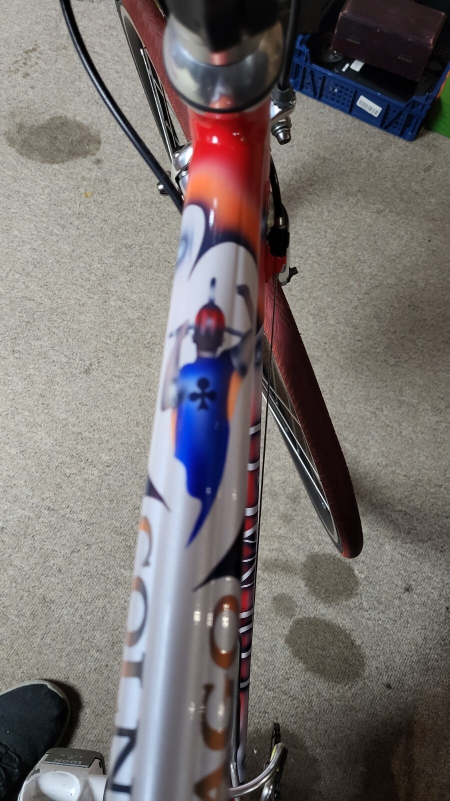 Picture 6 of 24