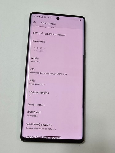Google Pixel 6 Pro - 128 GB - Stormy Black (Unlocked) G8V0U USED/SCREEN BURN - Afbeelding 2 van 13