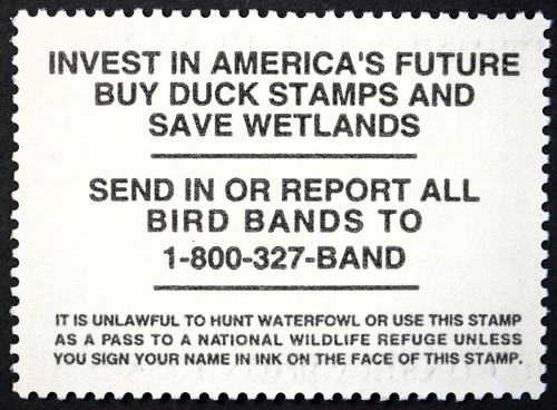 RW65 Duck Hunting Stamps MNH OG migratory ducks hunt stamps collectable 1998 - Picture 2 of 2