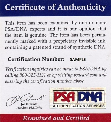 Miguel Cabrera Signed OML Baseball Autographed Tigers PSA/DNA AL87916 - Picture 3 of 3