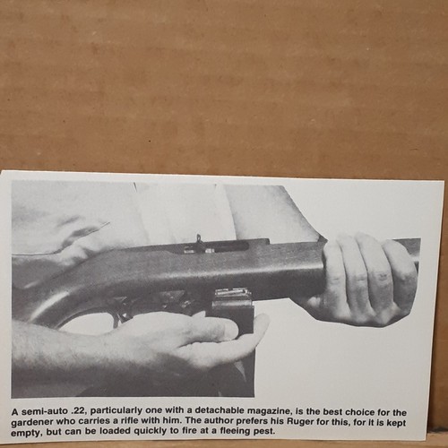 Vintage 1970s Magazine Cut Out RUGER 10/22 Varmint Pest Control Caption Farmer - Picture 4 of 4