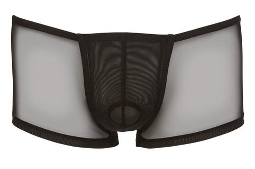 Herren Pants L - men's pants - boxer shorts - transparent pants - swell - Bild 2 von 3