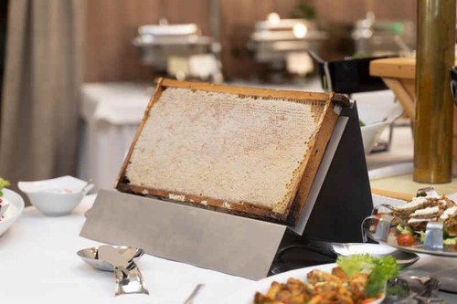 Ganzes Wabenrähmchen von ImkerPur, ca 2.2 kg, mit Akazien-Honig - Bild 5 von 5