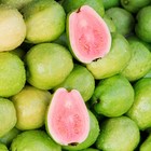 Red Guava Seedss var. Red Super 250 pcs (Psidium guajava) Pink Guava