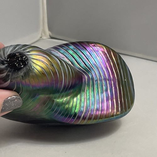 Glass Eye Studio Art Glass Blown Nautilus Shell Paperweight Iridescent EUC - Picture 12 of 14