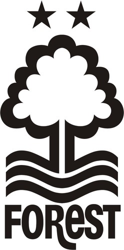 IRON ON / HEAT PRESS / Breast Logo / Nottingham Forest  (Ref 1)/ Football Badge - Picture 9 of 12