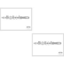 2x CORTECO Bremsschlauch vorne für Fiat Barchetta 183 1.8 16V Punto 188_ 1.2 176