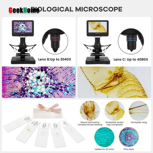 Andonstar AD246S-P Microscopio digitale schermo 7" UHD per riparazione elettronica - Foto 8 di 9