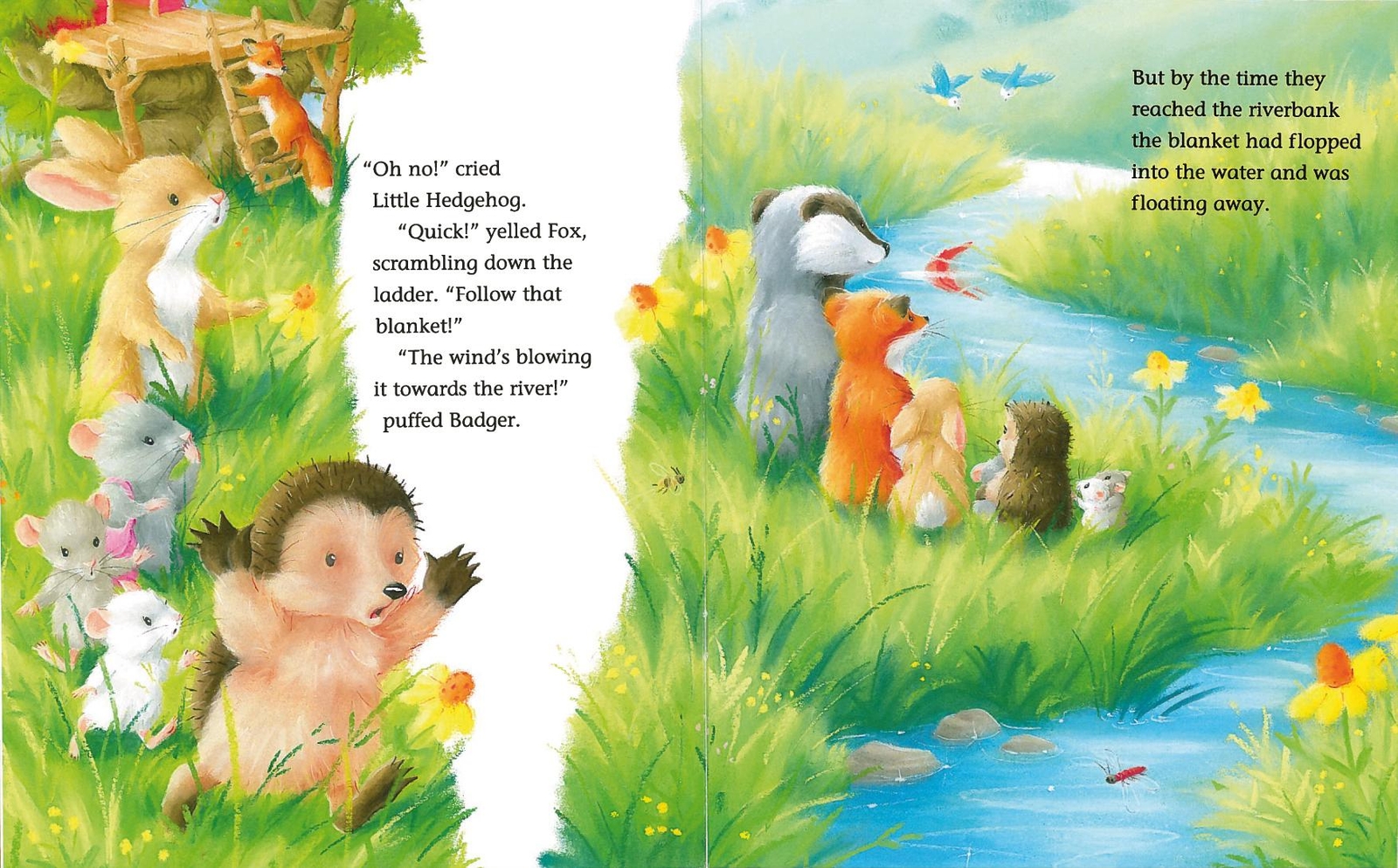 Thumbnail - Der Kleine Igel Und Die Große Kuscheldecke M Christina Butler