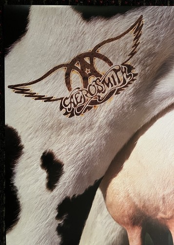 AEROSMITH Get a Grip advance 23x35 record store promo poster 2sided GEFFEN 1993 - Picture 7 of 12