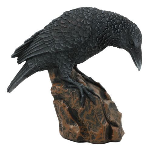 Estatuilla estatua de resina pintada a mano de cuervo negro inclinado sobre rocas - Imagen 2 de 7