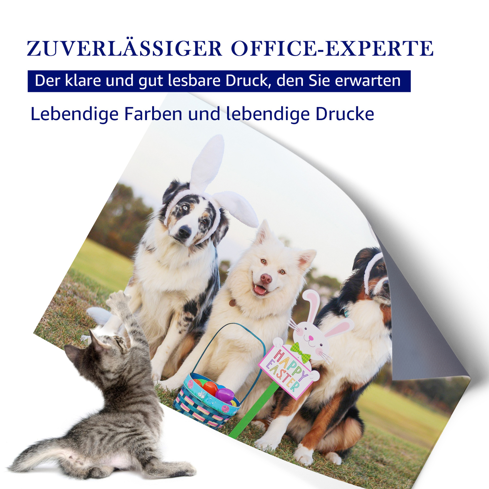 Bild 7 von 21