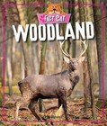 Woodland by Izzi Howell (Paperback, 2016)