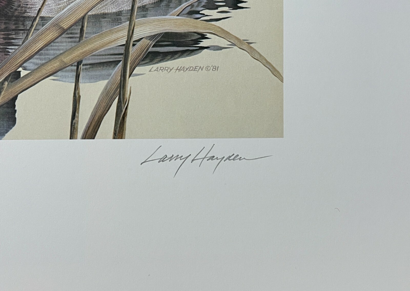 Picture 4 of 6